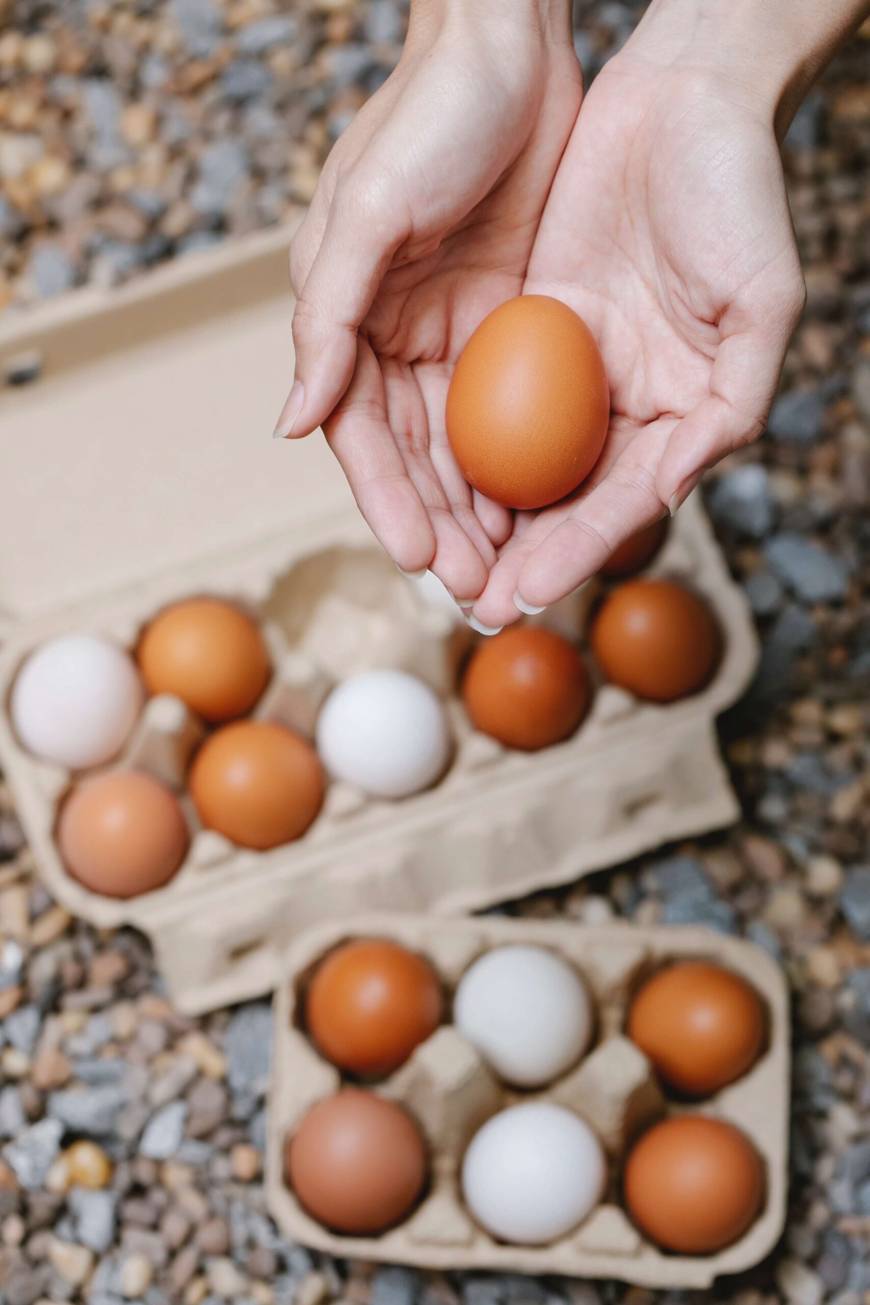 How to Wash Fresh Eggs & Store Them The Ultimate Guide